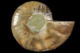 Agatized Ammonite Fossil (Half) - Madagascar #114936-1